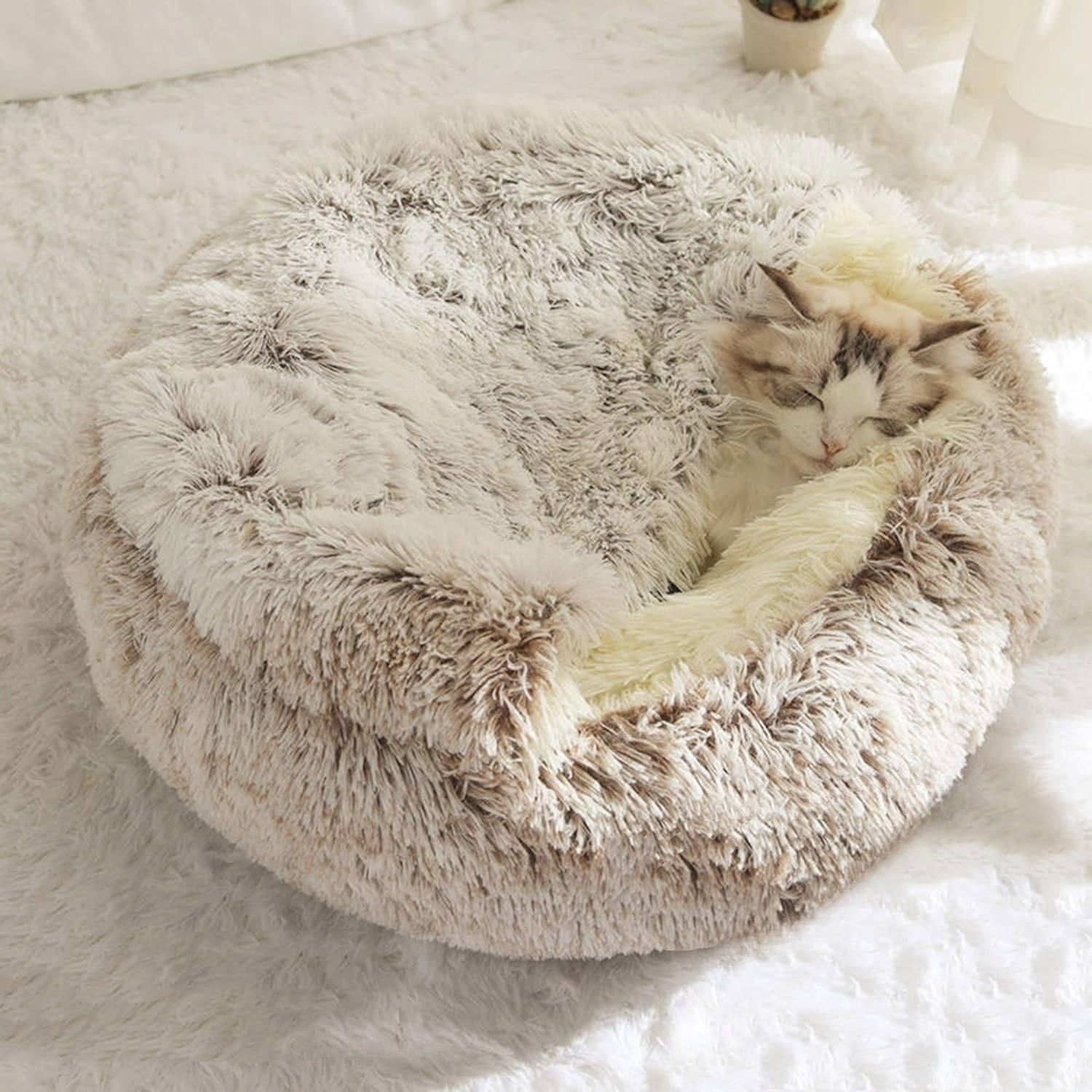 Cozy Nook Pet Bed