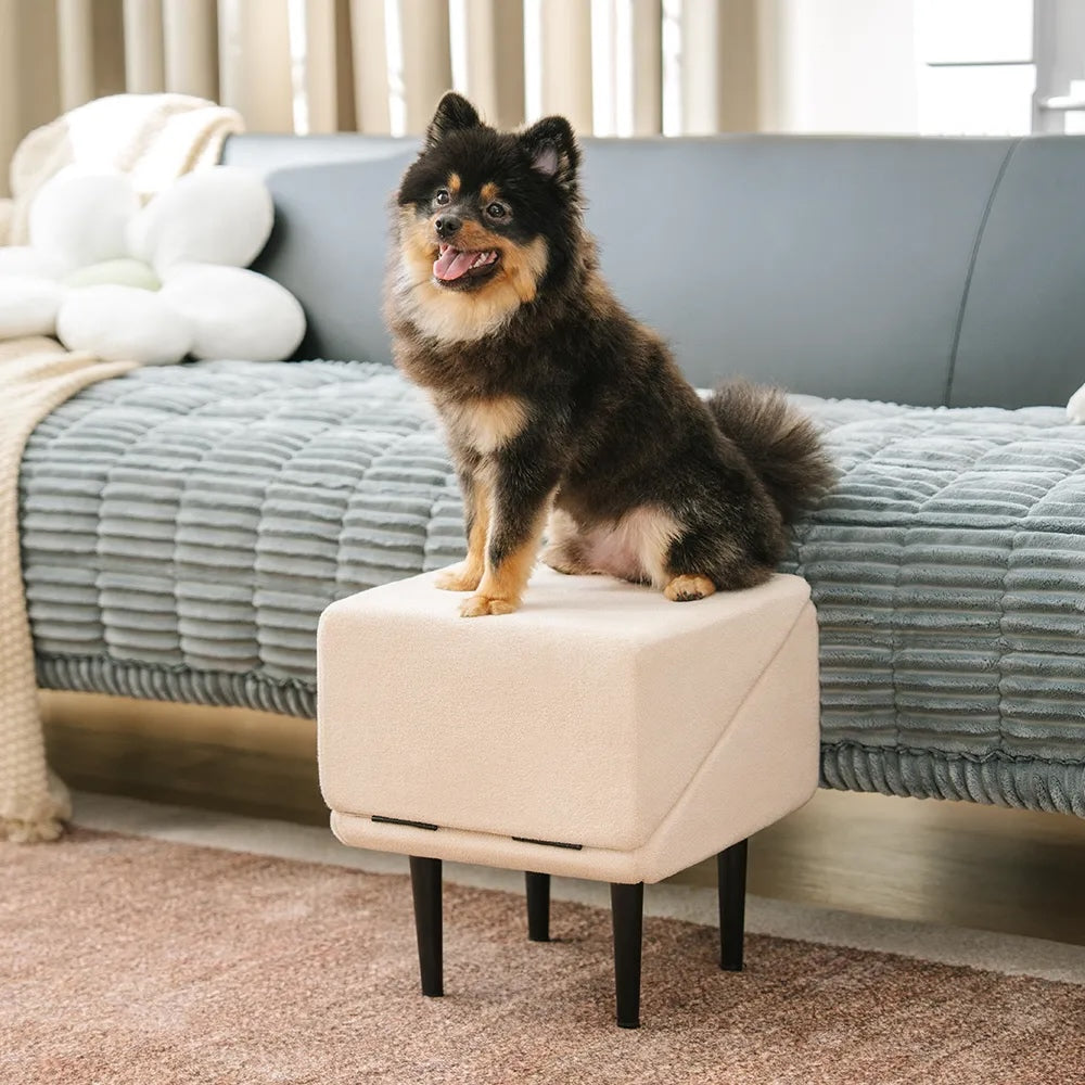2-in-1 Convertible Ottoman Ramp