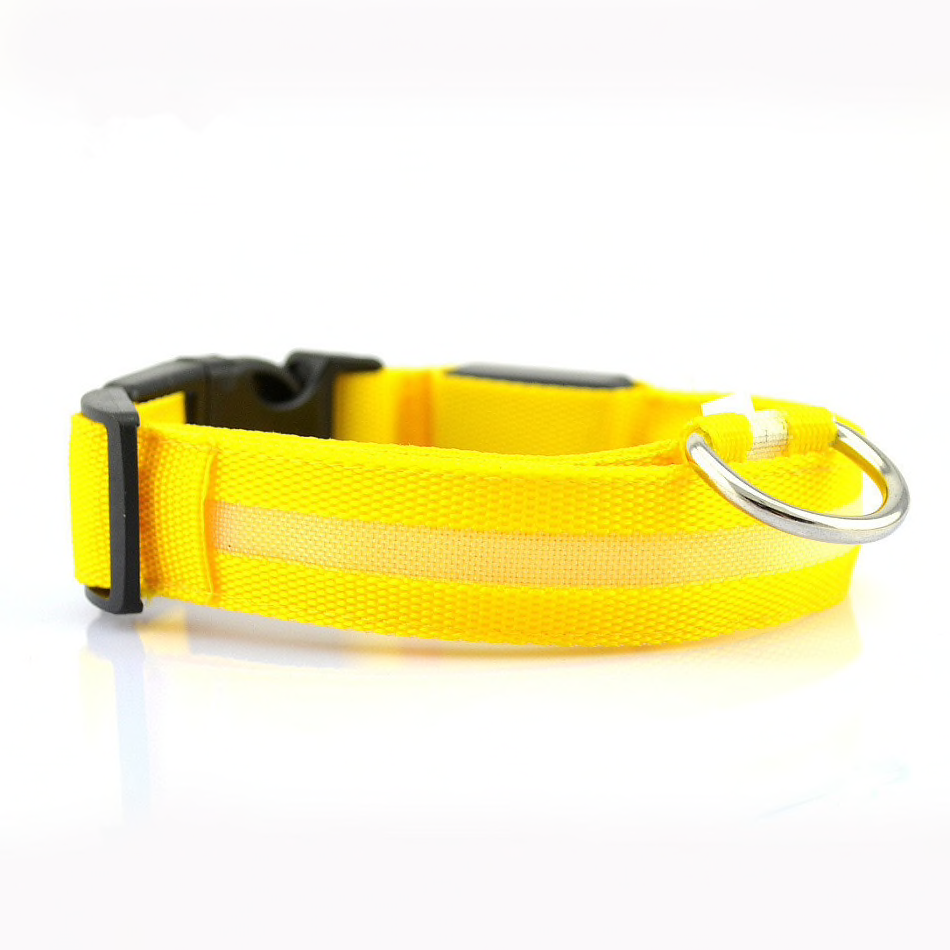 LED Dog Collar