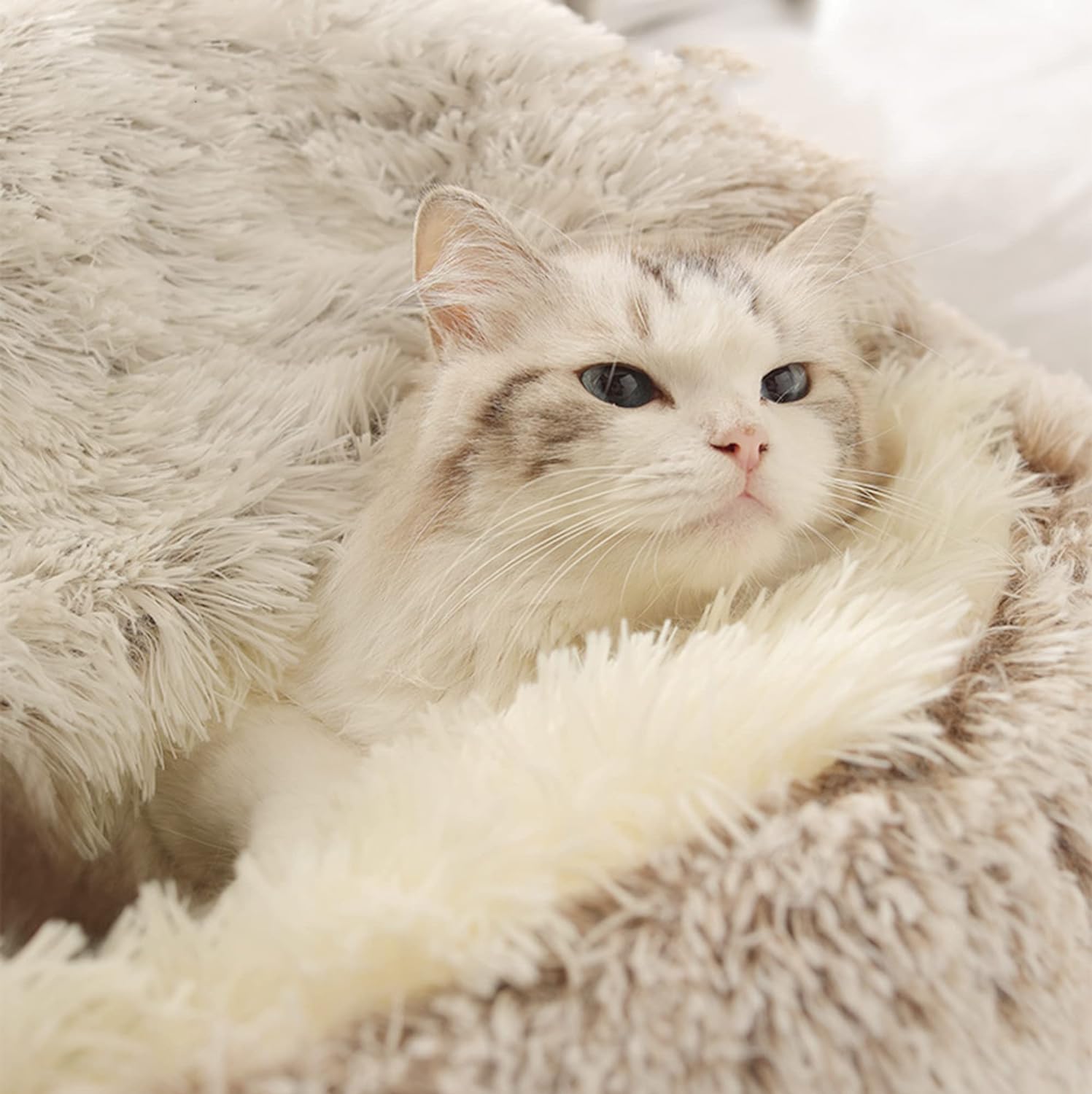 Cozy Nook Pet Bed
