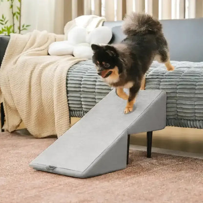 2-in-1 Convertible Ottoman Ramp
